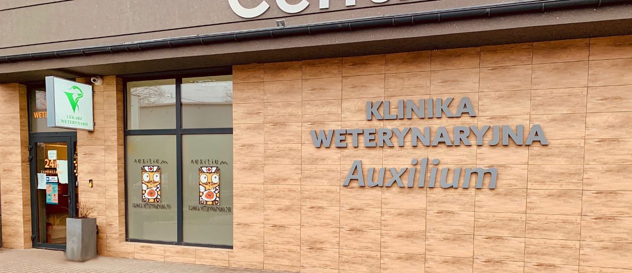 Auxylium Wejście do kliniki